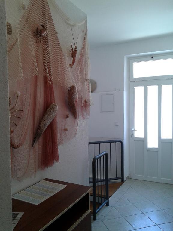 Krilo Apartments Toma Bajnice Directly מראה חיצוני תמונה